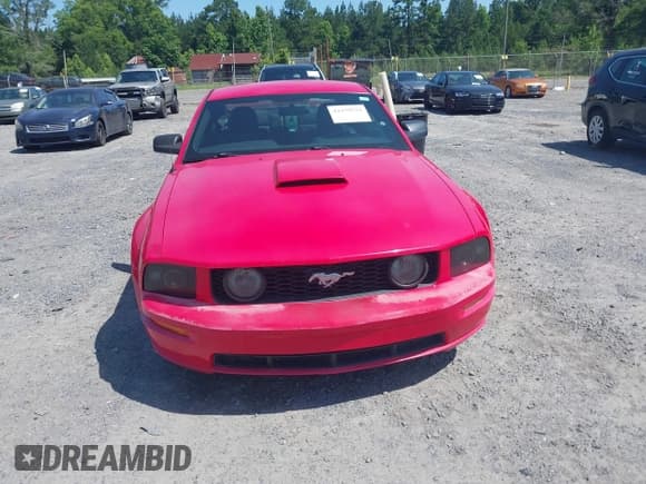 ✅ 2008 Ford Mustang GT Deluxe • VIN: 1ZVHT82H285184963 • Lot: 42479534. Listed on IAAI with 164,349 mi. Free auction sales archive from the USA and detailed vehicle history report at DreamBid. Image 12.