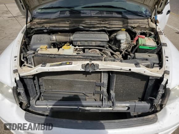 ✅ 2005 Dodge 1500 SLT • VIN: 1D7HA16N65J591418 • Лот: 76325554. Опубликован ранее на Copart с пробегом 123 256 миль. Бесплатный доступ к архиву аукционных продаж из США и подробный отчёт об истории автомобиля на DreamBid. Изображение 11.