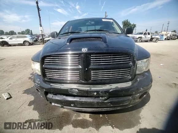 ✅ 2005 Dodge 1500 SLT • VIN: 1D7HA18D15J517974 • Лот: 75689894. Опубликован ранее на Copart с пробегом Не указан. Бесплатный доступ к архиву аукционных продаж из США и подробный отчёт об истории автомобиля на DreamBid. Изображение 10.