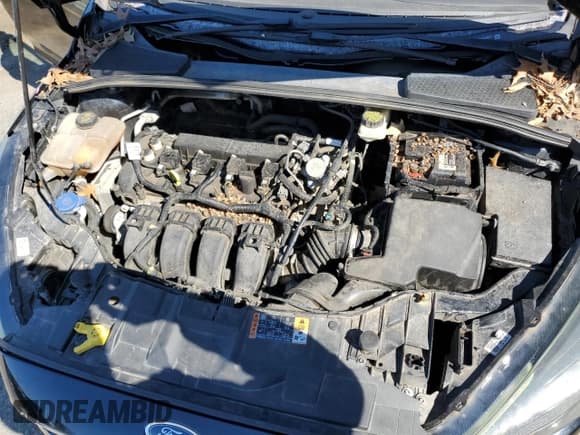 ✅ 2017 Ford Focus SEL • VIN: 1FADP3H26HL248273 • Lot: 57692334. Listed on Copart with 95,596 mi. Free auction sales archive from the USA and detailed vehicle history report at DreamBid. Image 11.