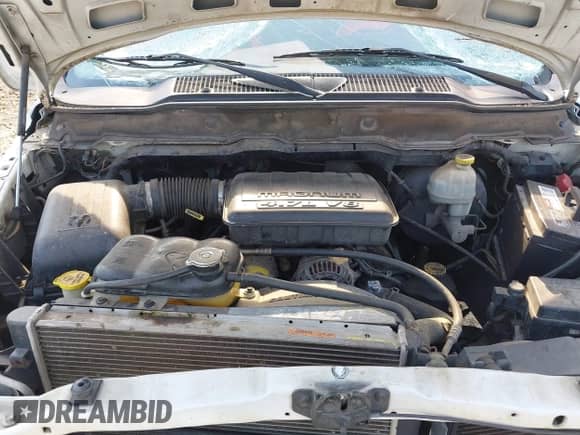 2003 Dodge 1500 ST z VIN 1D7HA18N83S214724, wystawiony jako IAAI lot #42566134 z przebiegiem 280 750 mil mil oraz . Historia ofert i sprzedaży dostępna na DreamBid. Obrazek 10.