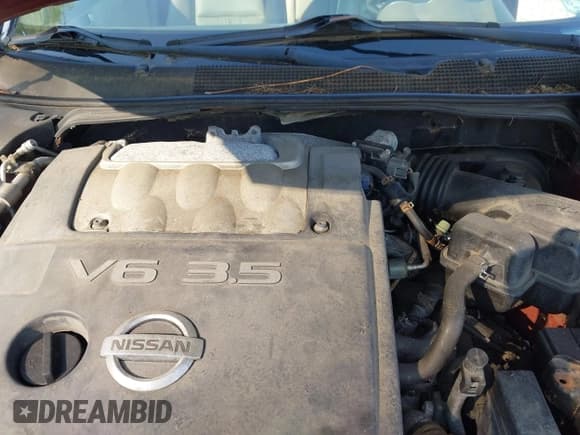 ✅ 2005 Nissan Maxima SL • VIN: 1N4BA41E75C814360 • Lot: 42803548. Listed on IAAI with 110,008 mi. Free auction sales archive from the USA and detailed vehicle history report at DreamBid. Image 10.