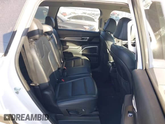 ✅ 2022 Kia Telluride LX • VIN: 5XYP2DHC4NG264290 • Лот: 43526505. Опубликован ранее на IAAI с пробегом 118 618 миль. Бесплатный доступ к архиву аукционных продаж из США и подробный отчёт об истории автомобиля на DreamBid. Изображение 8.