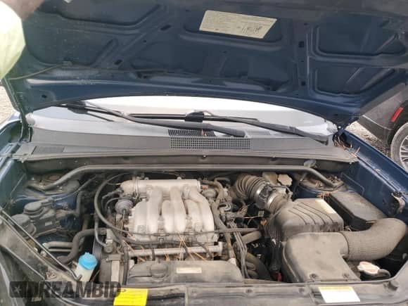 2005 Hyundai Tucson GLS z VIN KM8JN72D85U131798, wystawiony jako Copart lot #79274634 z przebiegiem 122 271 mil mil oraz Szkoda całkowita • Salvage title. Historia ofert i sprzedaży dostępna na DreamBid. Obrazek 11.