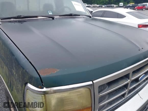 ✅ 1992 Ford F-150 • VIN: 1FTEF15Y6NNB01546 • Lot: 42904958. Wystawiony na IAAI z przebiegiem 178 250 mil. Bezpłatny archiwum sprzedaży aukcyjnych z USA i szczegółowy raport historii pojazdu na DreamBid. Zdjęcie 15.