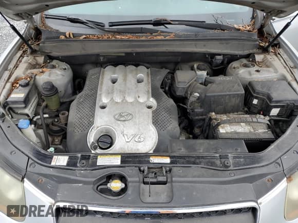 ✅ 2007 Hyundai Santa Fe GLS • VIN: 5NMSG13DX7H036474 • Lot: 81839764. Listed on Copart with 172,829 mi. Free auction sales archive from the USA and detailed vehicle history report at DreamBid. Image 12.