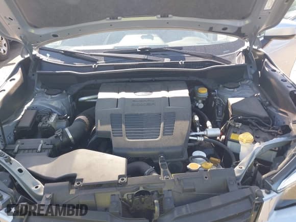 ✅ 2019 Subaru Forester Premium • VIN: JF2SKAGC0KH422168 • Lot: 42393056. Listed on IAAI with 41,135 mi. Free auction sales archive from the USA and detailed vehicle history report at DreamBid. Image 10.