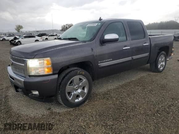 2010 Chevrolet Silverado 1500 LT with VIN 3GCRCSE02AG204959, listed as a Copart auction lot 82320935 with 118,013 mi miles and Salvage title. Bid and sale history available at DreamBid. Image 1.