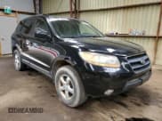 ✅ 2009 Hyundai Santa Fe GL • VIN: 5NMSG73E39H296763 • Lot: 54605045. Listed on Copart with 308,827 mi. Free auction sales archive from the USA and detailed vehicle history report at DreamBid. Image 4.