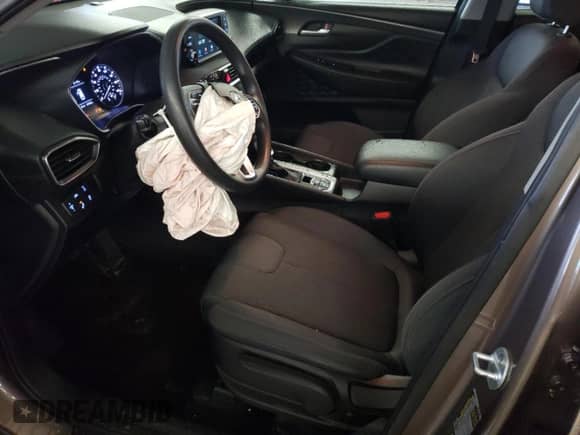 ✅ 2019 Hyundai Santa Fe SE • VIN: 5NMS2CAD4KH092982 • Lot: 70875062. Wystawiony na Copart z przebiegiem 107 862 mil. Bezpłatny archiwum sprzedaży aukcyjnych z USA i szczegółowy raport historii pojazdu na DreamBid. Zdjęcie 7.