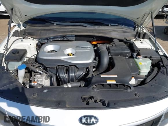 ✅ 2017 Kia Optima • VIN: KNAGT4LE9H5013412 • Лот: 43447557. Опубликован ранее на IAAI с пробегом 129 787 миль. Бесплатный доступ к архиву аукционных продаж из США и подробный отчёт об истории автомобиля на DreamBid. Изображение 10.