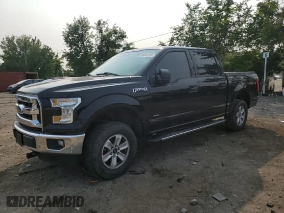 ✅ 2017 Ford F-150 XL • VIN: 1FTEW1EP8HKC51929 • Lot: 59044785. Wystawiony na Copart z przebiegiem 194 060 mil. Bezpłatny archiwum sprzedaży aukcyjnych z USA i szczegółowy raport historii pojazdu na DreamBid. Zdjęcie 1.
