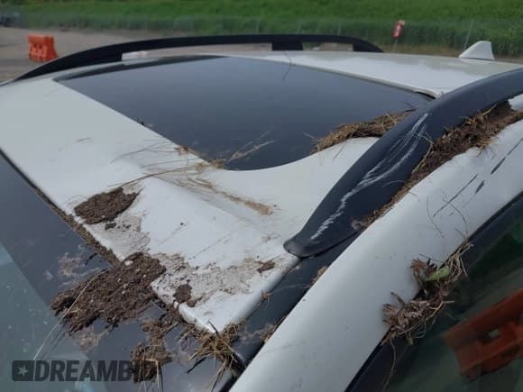 ✅ 2023 Subaru Crosstrek Premium • VIN: JF2GTAEC7PH251917 • Lot: 42340080. Listed on IAAI with 27,583 mi. Free auction sales archive from the USA and detailed vehicle history report at DreamBid. Image 18.