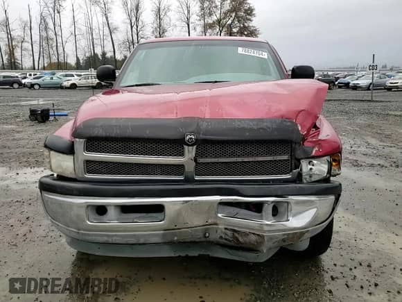 1999 Dodge 1500 z VIN 3B7HF13Z3XG204850, wystawiony jako Copart lot #78824704 z przebiegiem 274 493 mil mil oraz Szkoda całkowita • Salvage title. Historia ofert i sprzedaży dostępna na DreamBid. Obrazek 10.