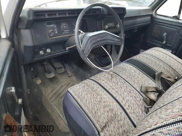 ✅ 1981 Ford F-250 • VIN: 1FTEF25E0BUA77404 • Lot: 53231325. Wystawiony na Copart z przebiegiem 167 290 mil. Bezpłatny archiwum sprzedaży aukcyjnych z USA i szczegółowy raport historii pojazdu na DreamBid. Zdjęcie 8.