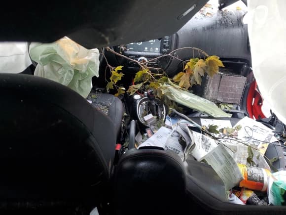 ✅ 2019 Kia Soul + • VIN: KNDJP3A53K7662452 • Lot: 90505175. Wystawiony na Copart z przebiegiem 81 542 mil. Bezpłatny archiwum sprzedaży aukcyjnych z USA i szczegółowy raport historii pojazdu na DreamBid. Zdjęcie 8.