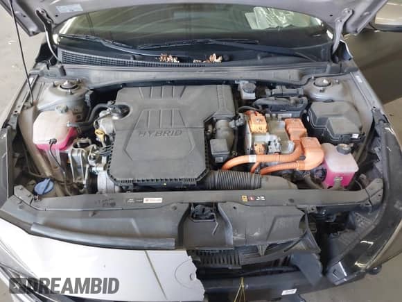 2023 Hyundai Elantra Limited z VIN KMHLN4AJ8PU051936, wystawiony jako IAAI lot #43202140 z przebiegiem 55 720 mil mil oraz . Historia ofert i sprzedaży dostępna na DreamBid. Obrazek 10.