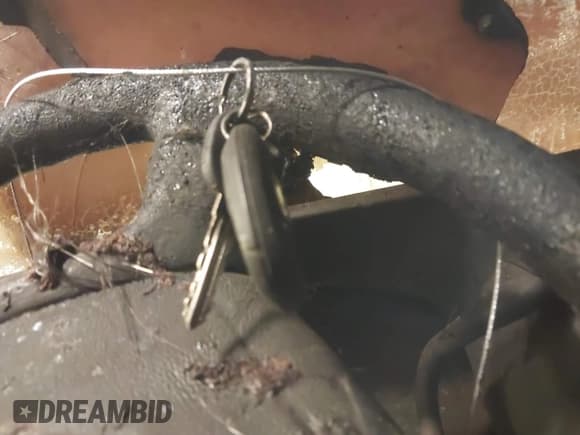 ✅ 2014 Chevrolet Express Cargo • VIN: 1GCWGFCGXE1145405 • Lot: 41331839. Listed on IAAI with 204,793 mi. Free auction sales archive from the USA and detailed vehicle history report at DreamBid. Image 11.