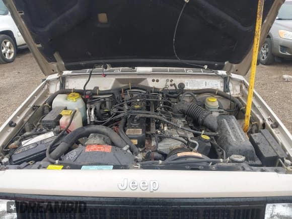 ✅ 1996 Jeep Cherokee Sport • VIN: 1J4FJ68S9TL117556 • Лот: 43136945. Опубликован ранее на IAAI с пробегом 48 301 миль. Бесплатный доступ к архиву аукционных продаж из США и подробный отчёт об истории автомобиля на DreamBid. Изображение 10.