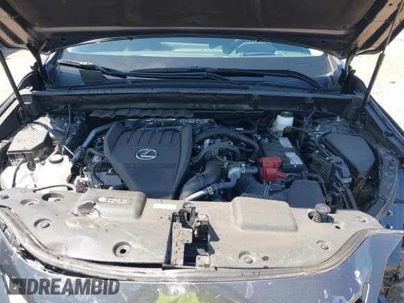 ✅ 2024 Lexus NX 350 Premium • VIN: 2T2GGCEZ4RC053138 • Lot: 42086893. Wystawiony na IAAI z przebiegiem 8 335 mil. Bezpłatny archiwum sprzedaży aukcyjnych z USA i szczegółowy raport historii pojazdu na DreamBid. Zdjęcie 10.