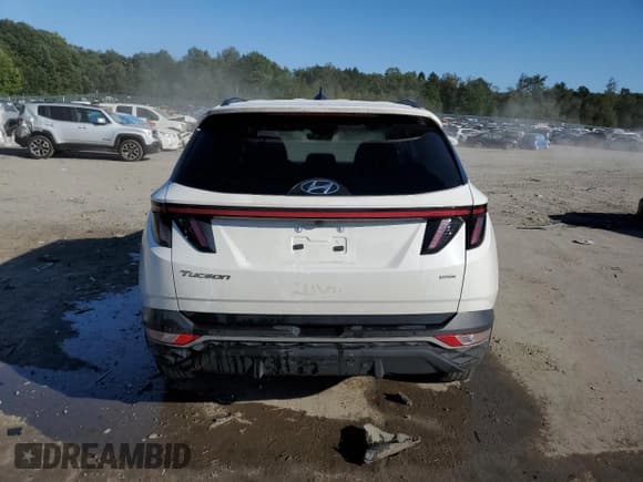 ✅ 2023 Hyundai Tucson SEL • VIN: 5NMJBCAE2PH179792 • Lot: 69944154. Wystawiony na Copart z przebiegiem 30 235 mil. Bezpłatny archiwum sprzedaży aukcyjnych z USA i szczegółowy raport historii pojazdu na DreamBid. Zdjęcie 6.