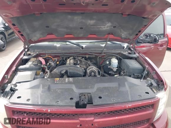 ✅ 2009 Chevrolet Silverado 1500 • VIN: 1GCEC39Y49Z189445 • Lot: 41933868. Wystawiony na IAAI z przebiegiem 209 596 mil. Bezpłatny archiwum sprzedaży aukcyjnych z USA i szczegółowy raport historii pojazdu na DreamBid. Zdjęcie 10.