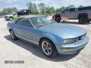 ✅ 2006 Ford Mustang Standard • VIN: 1ZVHT84N565250504 • Lot: 39591693. Listed on IAAI with Not provided. Free auction sales archive from the USA and detailed vehicle history report at DreamBid. Image 1.