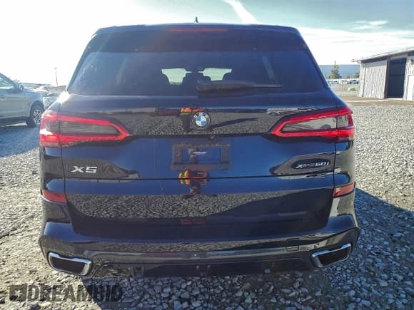 ✅ 2019 BMW X5 xDrive50i • VIN: 5UXJU2C5XKLB15509 • Lot: 95124455. Listed on Copart with 96,349 mi. Free auction sales archive from the USA and detailed vehicle history report at DreamBid. Image 6.