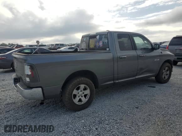 2010 Dodge 1500 ST with VIN 1D7RB1GP9AS154454, listed as a Copart auction lot 78296594 with 195,267 mi miles and Salvage title. Bid and sale history available at DreamBid. Image 3.