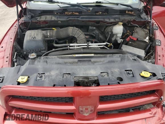 ✅ 2010 Dodge 1500 TRX • VIN: 1D7RV1GT5AS210622 • Lot: 65157655. Wystawiony na Copart z przebiegiem 155 139 mil. Bezpłatny archiwum sprzedaży aukcyjnych z USA i szczegółowy raport historii pojazdu na DreamBid. Zdjęcie 11.