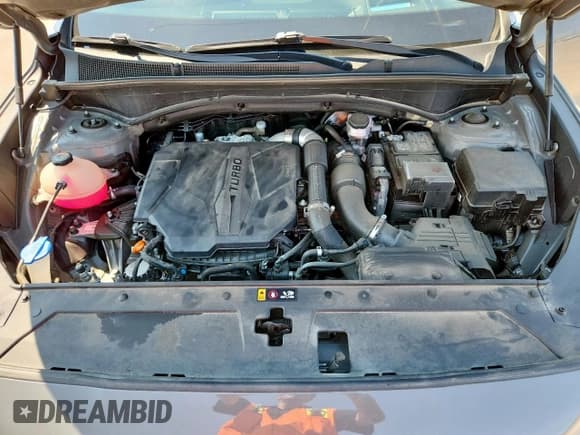 ✅ 2023 Hyundai Santa Fe Calligraphy • VIN: 5NMS54AL3PH617722 • Lot: 70292765. Listed on Copart with 43,027 mi. Free auction sales archive from the USA and detailed vehicle history report at DreamBid. Image 11.