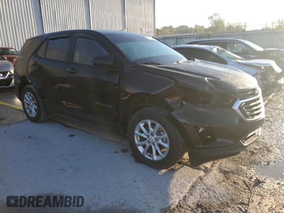 2019 Chevrolet Equinox LS with VIN 2GNAXHEV3K6124154, listed as a Copart auction lot 84648475 with 87,681 mi miles and Salvage title. Bid and sale history available at DreamBid. Image 4.