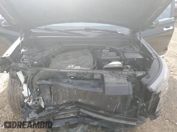 2021 Hyundai Palisade Limited z VIN KM8R5DHEXMU178816, wystawiony jako Copart lot #61856324 z przebiegiem 106 752 mil mil oraz Szkoda całkowita • Salvage title. Historia ofert i sprzedaży dostępna na DreamBid. Obrazek 14.