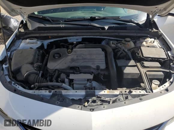 2018 Chevrolet Malibu LT z VIN 1G1ZD5ST2JF153812, wystawiony jako Copart lot #90334615 z przebiegiem 192 366 mil mil oraz Szkoda całkowita • Salvage title. Historia ofert i sprzedaży dostępna na DreamBid. Obrazek 11.