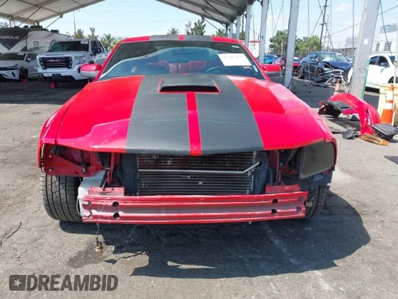 ✅ 2008 Ford Mustang GT Deluxe • VIN: 1ZVHT82H685148435 • Lot: 43207475. Listed on IAAI with 118,398 mi. Free auction sales archive from the USA and detailed vehicle history report at DreamBid. Image 13.