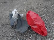 ✅ 2013 Ford Explorer XLT • VIN: 1FM5K8D82DGA70381 • Lot: 43661903. Wystawiony na IAAI z przebiegiem 221 751 mil. Bezpłatny archiwum sprzedaży aukcyjnych z USA i szczegółowy raport historii pojazdu na DreamBid. Zdjęcie 12.