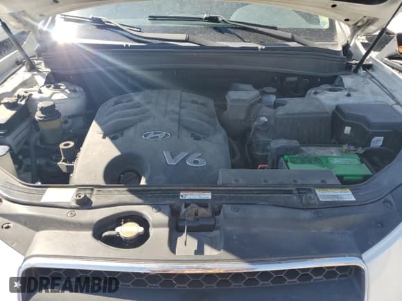 ✅ 2007 Hyundai Santa Fe SE • VIN: 5NMSH13E07H108529 • Lot: 74496234. Listed on Copart with 173,436 mi. Free auction sales archive from the USA and detailed vehicle history report at DreamBid. Image 11.