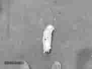 2015 Toyota Camry LE z VIN 4T1BD1FK2FU142956, wystawiony jako IAAI lot #42068502 z przebiegiem 104 135 mil mil oraz . Historia ofert i sprzedaży dostępna na DreamBid. Obrazek 12.