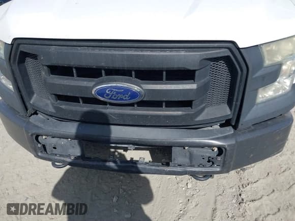 ✅ 2015 Ford F-150 XLT • VIN: 1FTEW1EF2FFC58131 • Lot: 40736696. Wystawiony na IAAI z przebiegiem 194 852 mil. Bezpłatny archiwum sprzedaży aukcyjnych z USA i szczegółowy raport historii pojazdu na DreamBid. Zdjęcie 6.