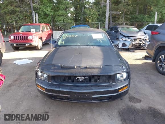 ✅ 2007 Ford Mustang Deluxe • VIN: 1ZVFT84N075346114 • Lot: 43362587. Listed on IAAI with 68,756 mi. Free auction sales archive from the USA and detailed vehicle history report at DreamBid. Image 12.