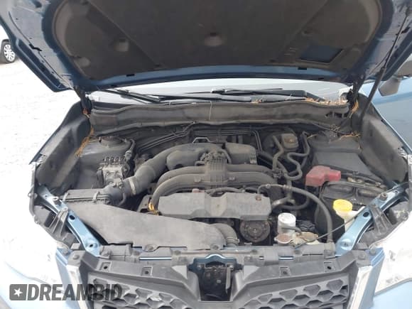 ✅ 2016 Subaru Forester 2.5i • VIN: JF2SJABCXGH489510 • Lot: 43742623. Wystawiony na IAAI z przebiegiem 242 126 mil. Bezpłatny archiwum sprzedaży aukcyjnych z USA i szczegółowy raport historii pojazdu na DreamBid. Zdjęcie 10.