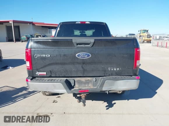✅ 2015 Ford F-150 XL • VIN: 1FTEX1CP3FKF01719 • Lot: 40852480. Listed on IAAI with 116,291 mi. Free auction sales archive from the USA and detailed vehicle history report at DreamBid. Image 16.
