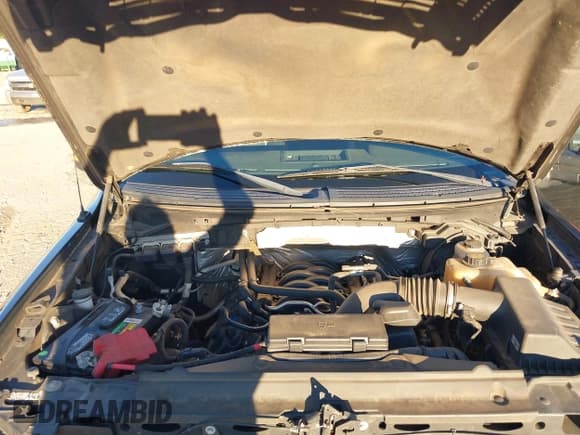 ✅ 2013 Ford F-150 FX4 • VIN: 1FTFW1EF4DFA42301 • Lot: 43617972. Wystawiony na IAAI z przebiegiem 133 947 mil. Bezpłatny archiwum sprzedaży aukcyjnych z USA i szczegółowy raport historii pojazdu na DreamBid. Zdjęcie 10.