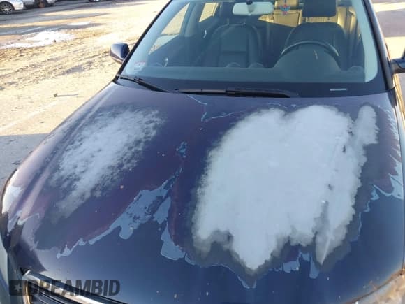 ✅ 2011 Audi A3 Premium • VIN: WAUBEAFM7BA154029 • Lot: 43629346. Listed on IAAI with 192,750 mi. Free auction sales archive from the USA and detailed vehicle history report at DreamBid. Image 6.