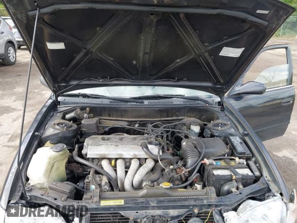 ✅ 1999 Toyota Corolla LE • VIN: 2T1BR12E5XC173929 • Lot: 43490754. Listed on IAAI with 289,499 mi. Free auction sales archive from the USA and detailed vehicle history report at DreamBid. Image 10.