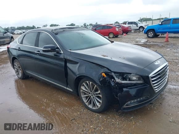 ✅ 2016 Hyundai Genesis 3.8L • VIN: KMHGN4JE3GU106717 • Lot: 40319357. Wystawiony na IAAI z przebiegiem 207 077 mil. Bezpłatny archiwum sprzedaży aukcyjnych z USA i szczegółowy raport historii pojazdu na DreamBid. Zdjęcie 1.