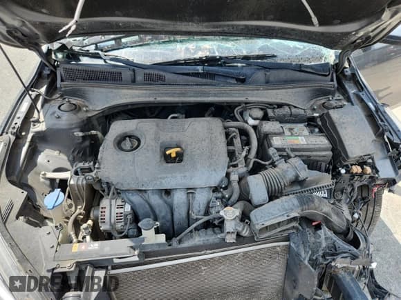 ✅ 2019 Kia Forte LXS • VIN: 3KPF24ADXKE129354 • Lot: 63473605. Listed on Copart with 87,975 mi. Free auction sales archive from the USA and detailed vehicle history report at DreamBid. Image 11.