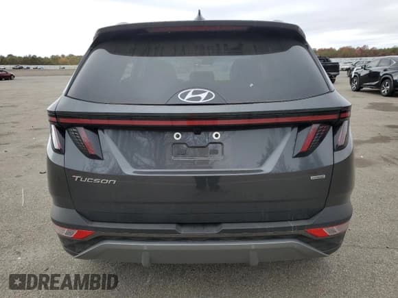 ✅ 2024 Hyundai Tucson Limited • VIN: 5NMJECDE3RH320441 • Lot: 76597844. Wystawiony na Copart z przebiegiem 3 816 mil. Bezpłatny archiwum sprzedaży aukcyjnych z USA i szczegółowy raport historii pojazdu na DreamBid. Zdjęcie 6.