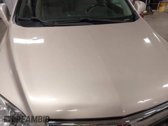 ✅ 2009 Saturn VUE XR • VIN: 3GSCL53789S564290 • Lot: 43366820. Wystawiony na IAAI z przebiegiem 226 800 mil. Bezpłatny archiwum sprzedaży aukcyjnych z USA i szczegółowy raport historii pojazdu na DreamBid. Zdjęcie 12.