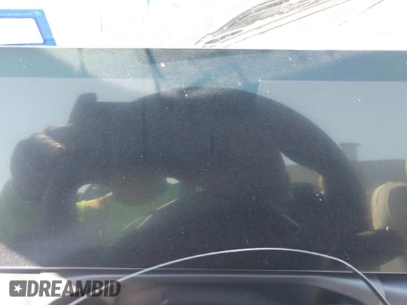 ✅ 2024 BMW 4 Series 430i • VIN: WBA23AT02RCP16277 • Lot: 43606221. Wystawiony na IAAI z przebiegiem Nie podano. Bezpłatny archiwum sprzedaży aukcyjnych z USA i szczegółowy raport historii pojazdu na DreamBid. Zdjęcie 7.